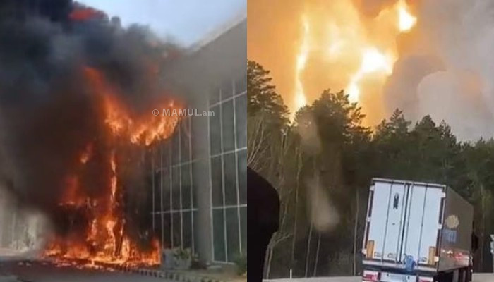 В Курганской области из-за лесного пожара загорелись школа и 20 домов