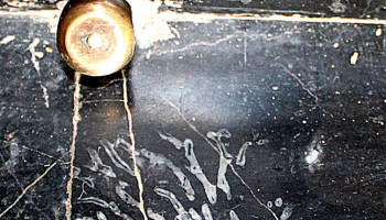 ՀՀ ԳԱԱ նախագահության շենքի հատակի մարմարներում հայտնաբերվել են հնագույն կենդանիների, բույսերի հետքեր