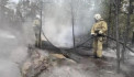 Число погибших работников лесничества при пожаре в Казахстане достигло 14