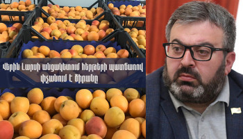 «Քաղաքացիներն ահազանգում են Վերին Լարսում առաջացած հերթերի մասին». ԱԺ պատգամավոր