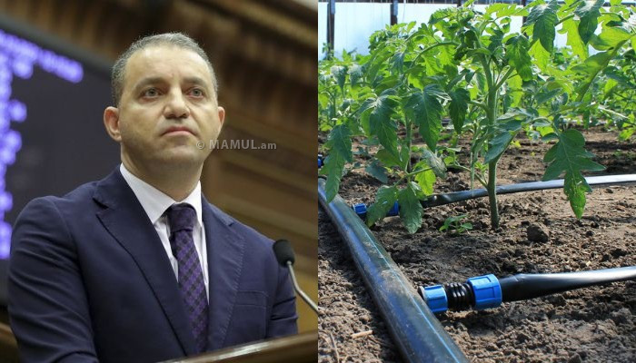 «Պետք է ջրի վճարն այնքան բարձրացնել, որ ֆերմերները մոտիվացված լինեն կաթիլային ոռոգման անցնելուն». Քերոբյան