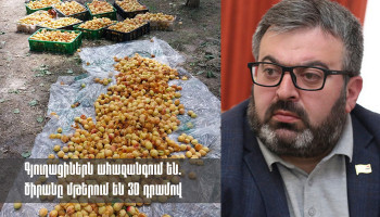 Гарник Даниелян: За 1 тонну абрикосов фермер получает всего 30 000 драмов