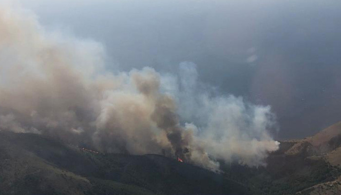 Gökçeada'da orman yangını: Havadan ve karadan müdahale başladı