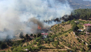 Kahramanmaraş'ta iki farklı orman yangını