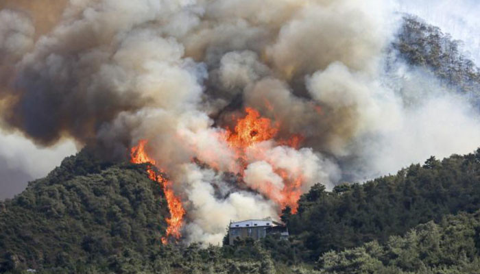 Hawaii'deki orman yangınlarında ölenlerin sayısı 89'a çıktı