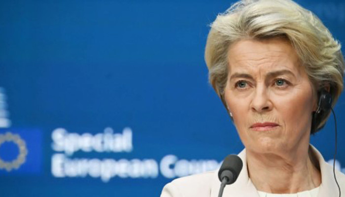Ursula von der Leyen was insulted in the European Parliament
