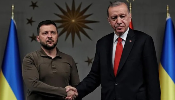 Zelensky, Erdogan discuss peace formula, Black Sea security in phone call