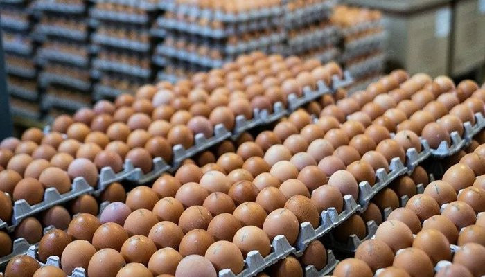 Вторую партию куриных яиц из Турции ввезли в Россию