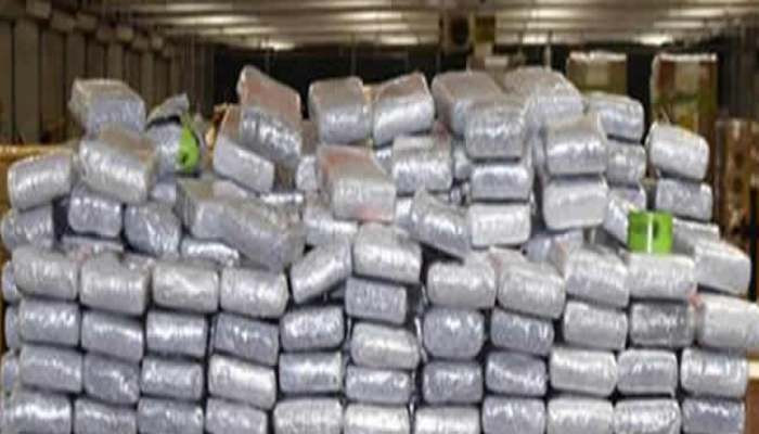 Армия Эквадора изъяла на свиноферме около 22 тонн кокаина