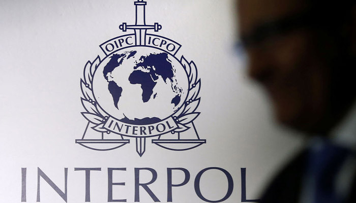 Интерпол выразил готовность помочь РФ в расследовании теракта в «Крокусе»