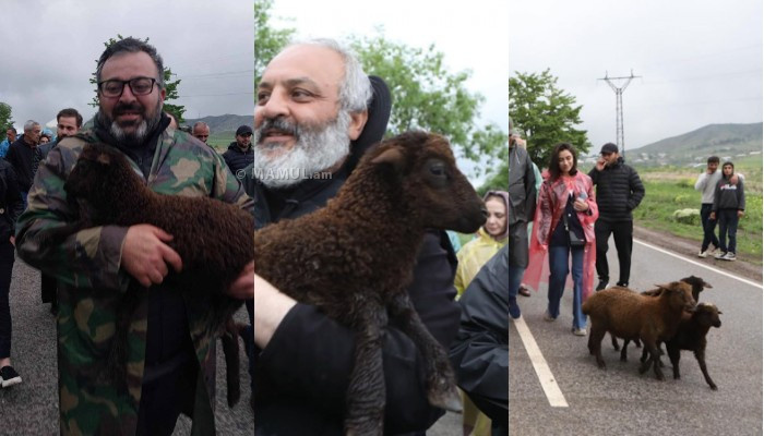 Երթի մասնակիցներին գառներ նվիրեցին