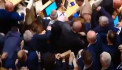 Массовая драка произошла в парламенте Грузии