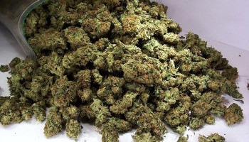 Таможенники нашли 13 кг марихуаны в машине, следующей из Армении в Грузию