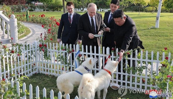 Ким Чен Ын подарил Путину двух собак редкой породы пхунсан