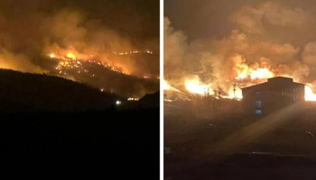 В Турции полыхают лесные пожары, есть погибшие и пострадавшие