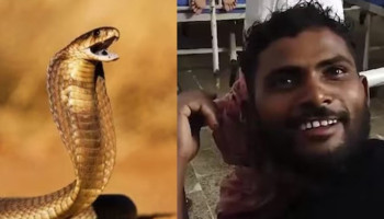 #IndiaToday: Мужчина убил укусившую его ядовитую змею, покусав ее в ответ