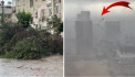 Adana'da Şiddetli yağmur ve rüzgar ağaçları kökünden söktü vinci devirdi