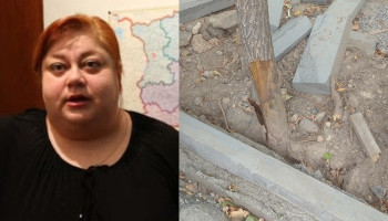 «Երևանում եզակի փրկված այգիներն են ոչնչացվում»․ Նարինե Կիրակոսյան