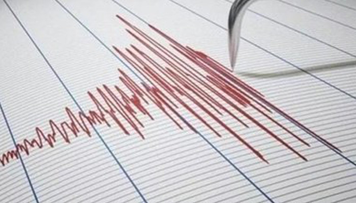 Earthquake shakes southern Iran