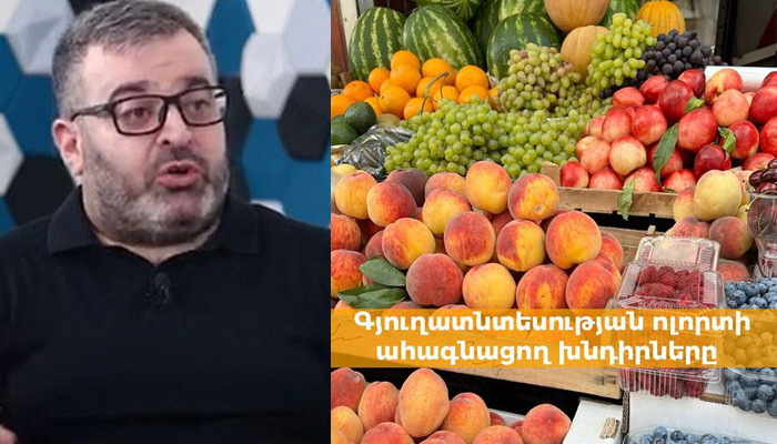 «Վարկային ծանր պարտավորությունների հետ գյուղացին մնում է մեն-մենակ»․ Գառնիկ Դանիելյան