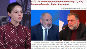 «Վարդանյանը չի հավատացել, որ նման տեքստ է հնչել»․ Տաթևիկ Հայրապետյան