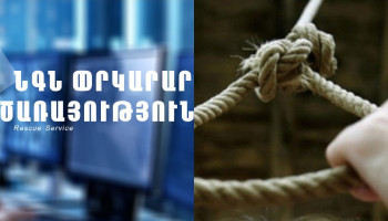 Փրկարարները քաղաքացուն հայտնաբերել են ծառից կախված վիճակում