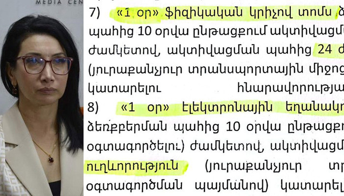 «Թալան՝ օրինական քողի տակ»․ Սոնա Աղեկյան