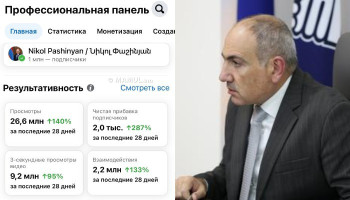 Նիկոլ Փաշինյանը ցուցադրել է իր էջի վերջին 28 օրվա ցուցանիշները