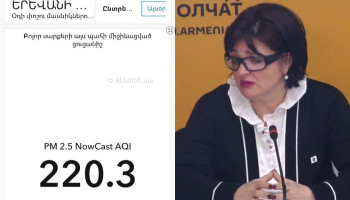 «Սա «լեգենդ» չէ օդի աղտոտվածության մասին»․ Քրիստինա Վարդանյան