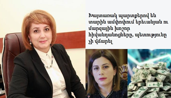 «Ահա ինչ է լինում, երբ անպատրաստ ծավալուն ծրագիր են մեկնարկում»․ Ծաղիկ Վարդանյան