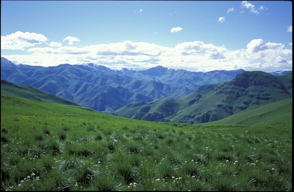 Քարվաճառ