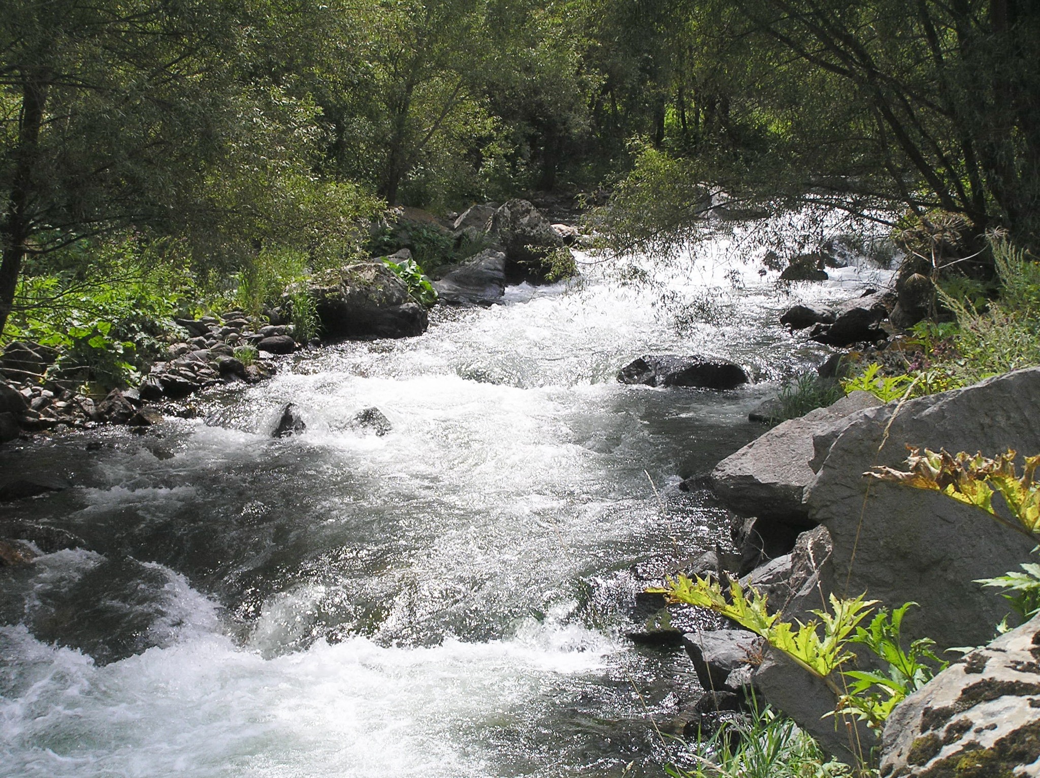 Քարվաճառ