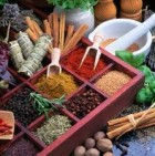 Herbs and Spices Fight Disease