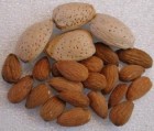 Food Value of Almond